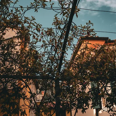 Il Poderino Di Marilu Ferienhaus *