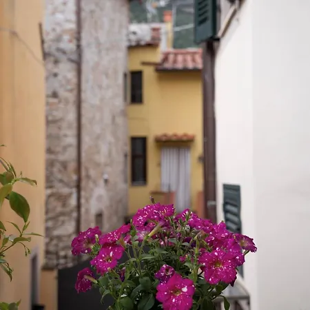 Il Poderino Di Marilu Casa vacanze *